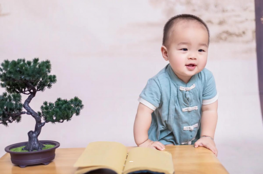 沈阳可爱的企鹅宝宝